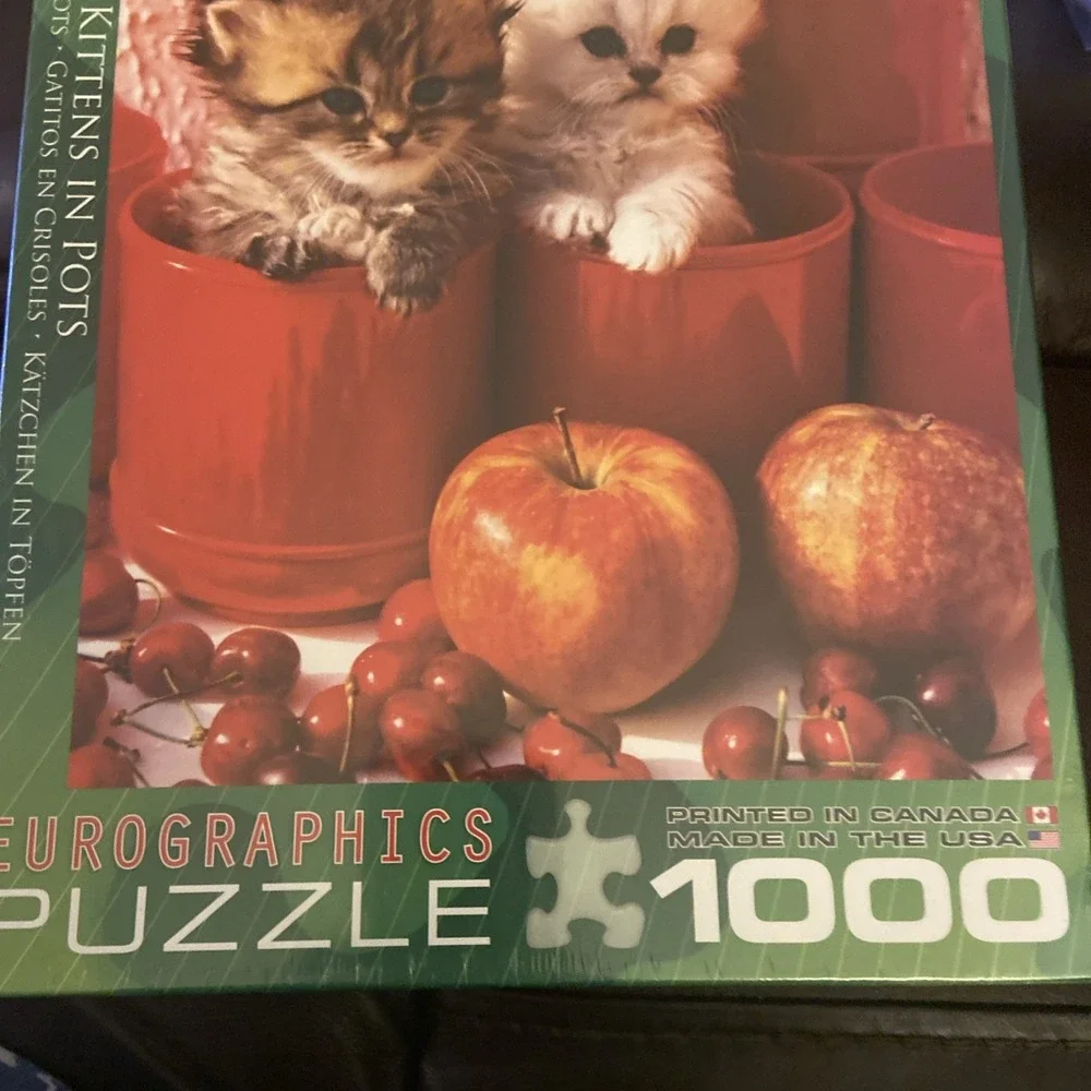 Kittens In Pots 1000 Piece‎ Jigsaw Puzzle by Eurographics NIP NIB